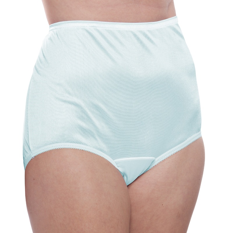 Nylon Brief Panty (Style 331/Plain Jane) 4 Pack in Blue 5