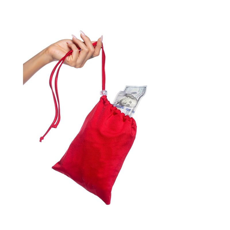 Spandex Iridescent Money Bag Black One Size