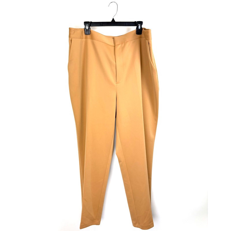 Tan Dress Pants – Size 2X