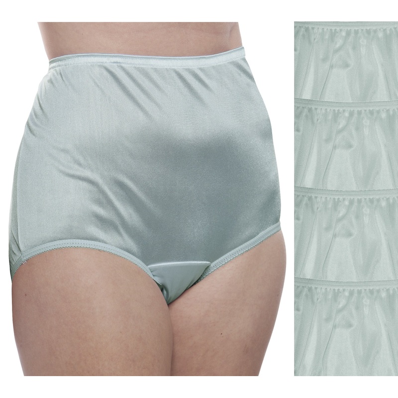 Nylon Brief Panty (Style 331/Plain Jane) 4 Pack in Blue Spruce 6