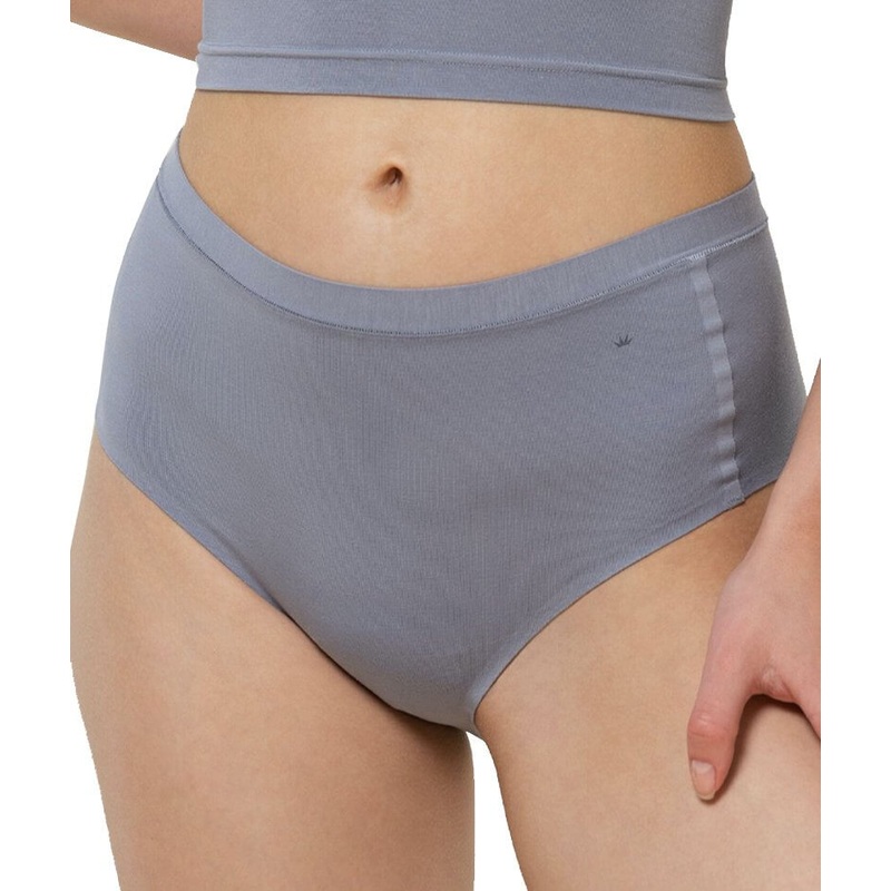 Triumph Smart Natural Maxi Brief – Morandi Grey 01