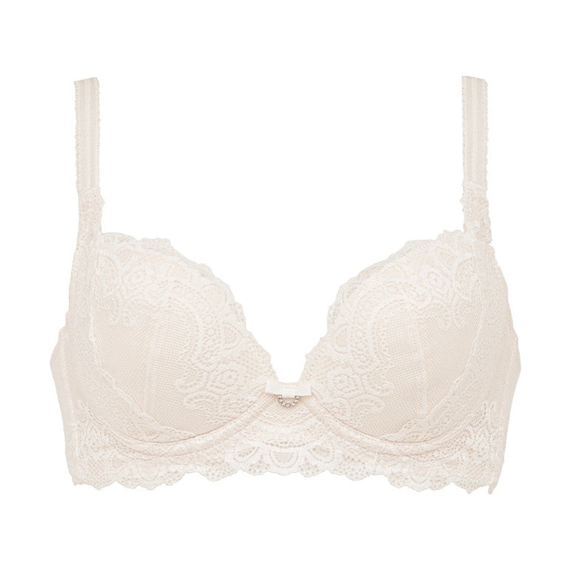 Belle Push-Up Plunge Bra 24A1 65C (US 30C) Black