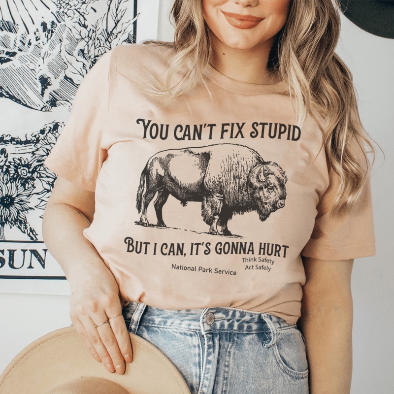 You Can’t Fix Stupid But I Can Tee Heather Prism Peach S