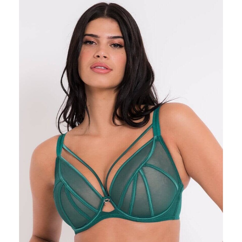 Scantilly Senses Plunge Bra – Verdigris Green 34H