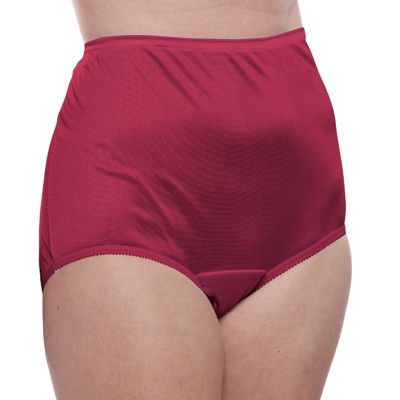 Nylon Brief Panty (Style 331/Plain Jane) 4 Pack in Wine 6